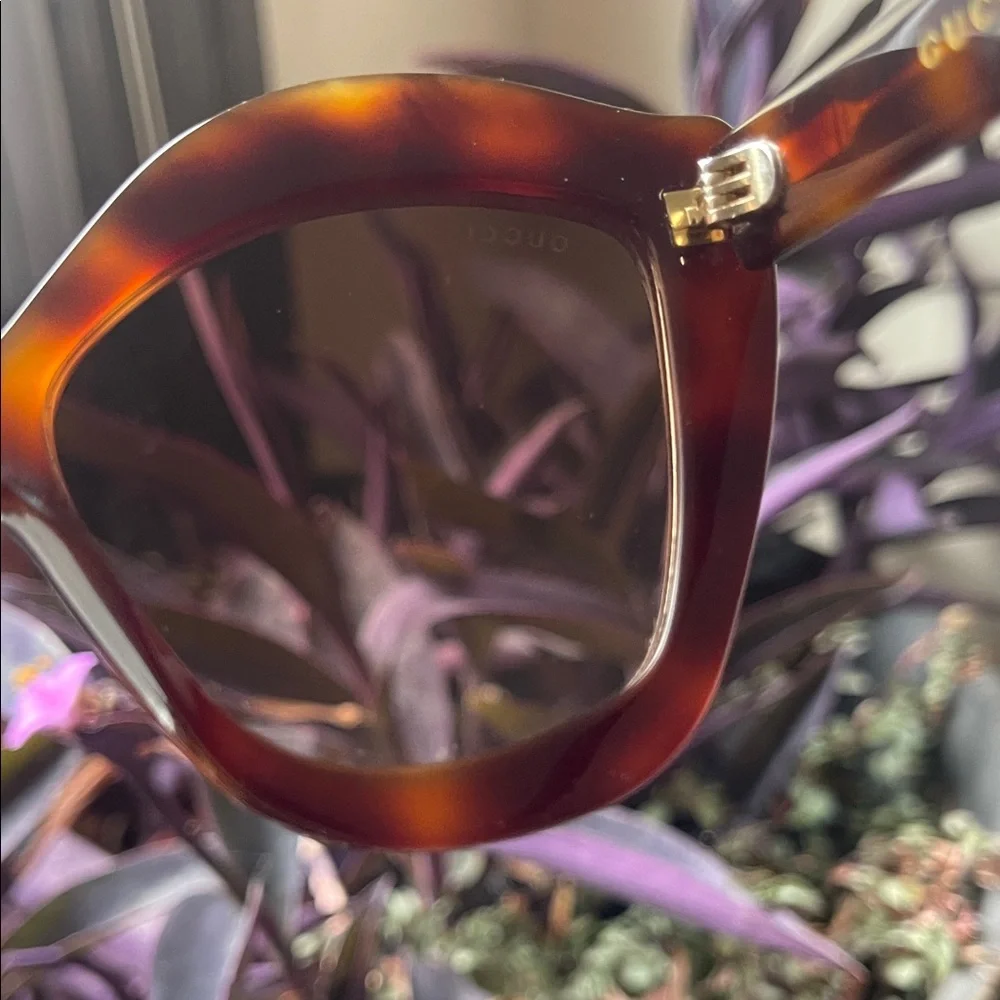 Gucci Women's Brown Oversized Cat Eye Havana Sunglasses - Picture 12 of 16